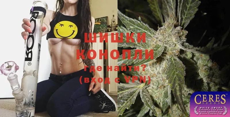 Бошки Шишки White Widow  наркотики  Тара 